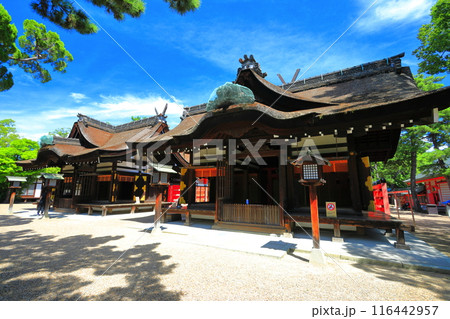 【大阪府】晴天の住吉大社の本宮（第三本宮と第四本宮） 116442957