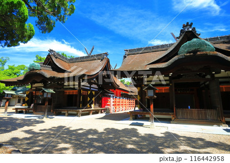【大阪府】晴天の住吉大社の本宮（第三本宮と第四本宮） 116442958