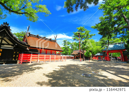 【大阪府】晴天の住吉大社の本宮 116442971