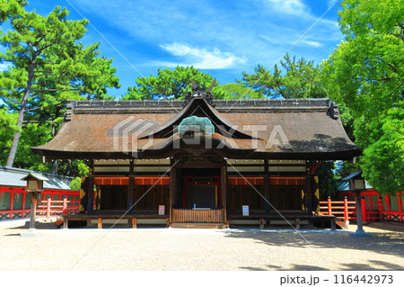 【大阪府】晴天の住吉大社の本宮(第一本宮) 【大阪府】晴天の住吉大社の本宮(第一本宮) 116442973