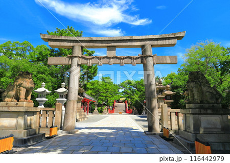 【大阪府】晴天の住吉大社の表参道(西大鳥居) 【大阪府】晴天の住吉大社の表参道(西大鳥居) 116442979
