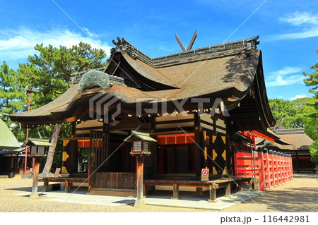 【大阪府】晴天の住吉大社の本宮 【大阪府】晴天の住吉大社の本宮 116442981