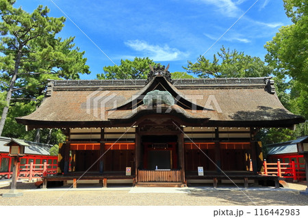 【大阪府】晴天の住吉大社の本宮（第一本宮） 116442983
