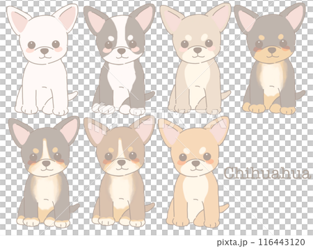 坐吉娃娃 各種顏色的吉娃娃一套 116443120