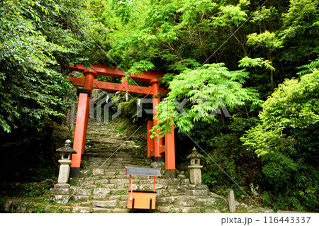 神倉神社(参道麓の鳥居)　【和歌山県新宮市】 116443337