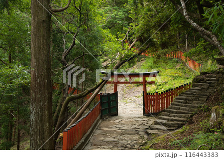 神倉神社(鳥居)　【和歌山県新宮市】 116443383