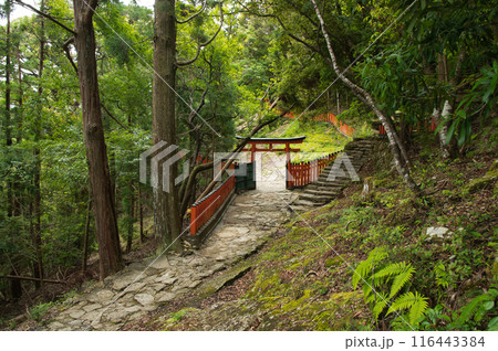 神倉神社(鳥居) 【和歌山県新宮市】 神倉神社(鳥居) 【和歌山県新宮市】 116443384
