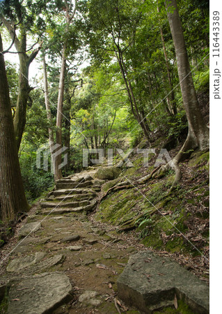 神倉神社(参道)　【和歌山県新宮市】 116443389