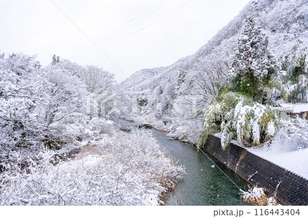 雪の飯坂温泉　歴史・規模ともに日本を代表する名泉　ヤマトタケルの時代から息づく飯坂の歴史　中十綱橋 116443404
