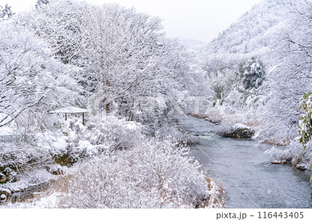 雪の飯坂温泉 歴史・規模ともに日本を代表する名泉 ヤマトタケルの時代から息づく飯坂の歴史 中十綱橋 雪の飯坂温泉 歴史・規模ともに日本を代表する名泉 ヤマトタケルの時代から息づく飯坂の歴史 中十綱橋 116443405