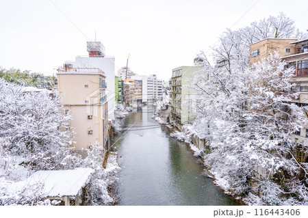 雪の飯坂温泉　歴史・規模ともに日本を代表する名泉　ヤマトタケルの時代から息づく飯坂の歴史　新十綱橋 116443406