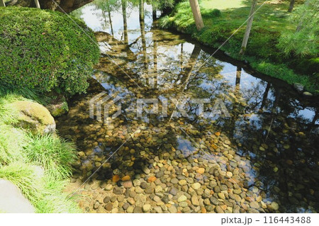 小川のある風景 116443488