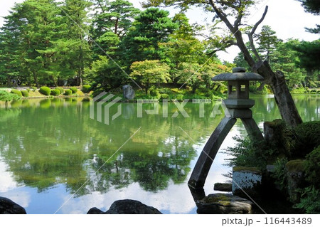 ことじ灯籠と霞ヶ池 116443489