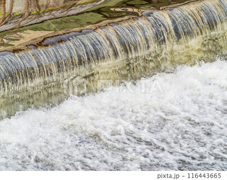 A small flat cascade in a calm river 116443665