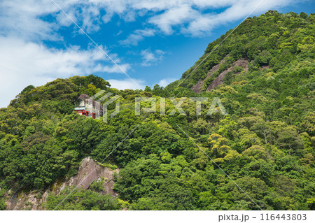 神倉神社(御神体のゴトビキ岩と社殿を望む)　【和歌山県新宮市】 116443803
