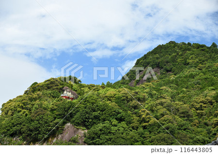 神倉神社(御神体のゴトビキ岩と社殿を望む)　【和歌山県新宮市】 116443805