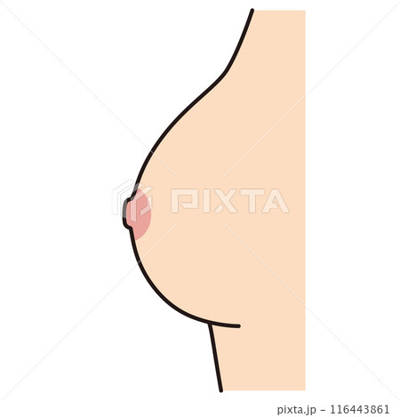 扁平乳頭 横から見た乳房 乳首 バスト 扁平乳頭 横から見た乳房 乳首 バスト 116443861