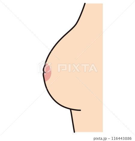 陥没乳頭　横から見た乳房　乳首　バスト 116443886
