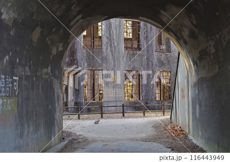 うさぎの島　大久野島　かつては毒ガス工場だった 116443949