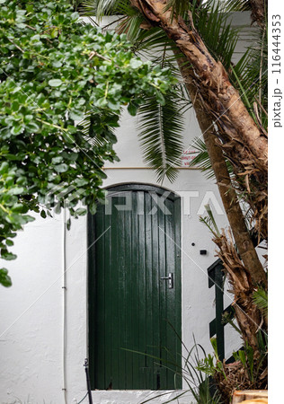 Green wooden slatted door with handle in white wall. Green wooden slatted door with handle in white wall. 116444353