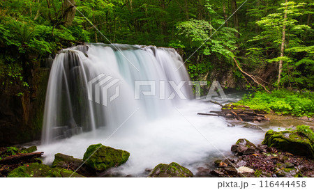 奥入瀬渓流：銚子大滝 116444458