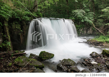 奥入瀬渓流：銚子大滝 116444496