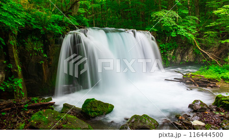 奥入瀬渓流：銚子大滝 116444500