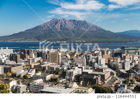 城山展望台から見た初冬の桜島 116444551