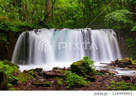 奥入瀬渓流：銚子大滝 116444601