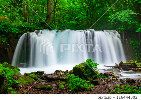 奥入瀬渓流:銚子大滝 奥入瀬渓流:銚子大滝 116444602