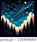 森に向かって流れるお星様 116444664