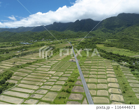 Aerial view of King Kong Avenue in Taitung,Taiwan. 116444671