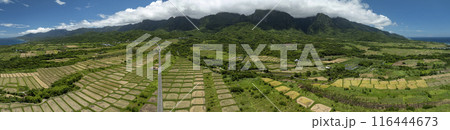 Aerial view panoramic of beautiful terraced rice field and road .Taitung ,Taiwan. 116444673
