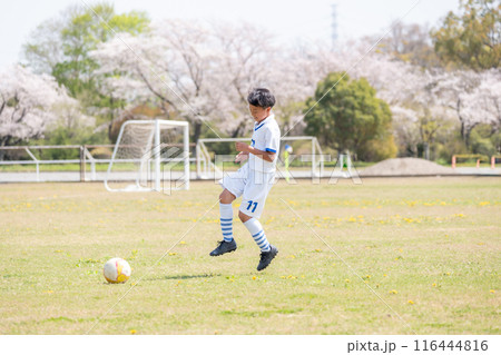サッカーの試合をしている小学生の男の子 116444816