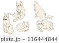 猫（長毛・短毛）ポーズ5種 116444844