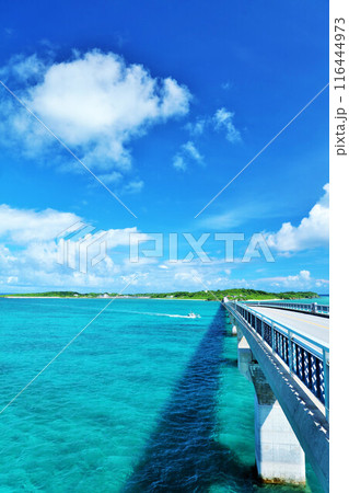 沖縄　池間大橋からの青空と海 116444973