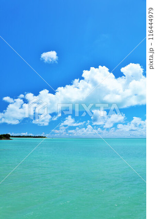 沖縄　宮古島　青空とエメラルドグリーンの海 116444979