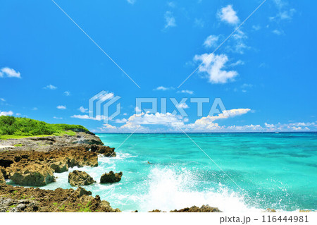 沖縄　宮古島　青空と海の風景 116444981