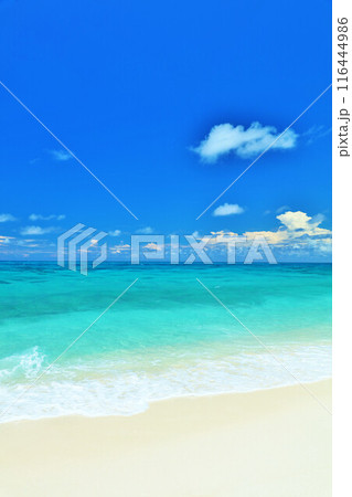 沖縄　宮古島　夏の青空と海 116444986