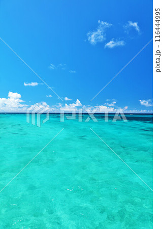 沖縄　宮古島の青空と海 116444995