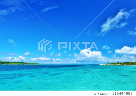 沖縄　宮古島の青空と海 116444998