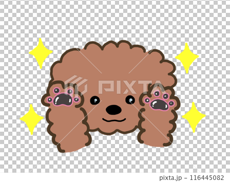 狗的爪子濕漉漉的 116445082