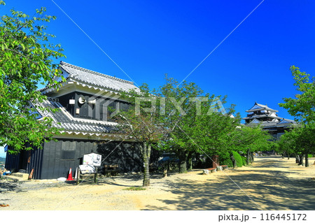 【愛媛県】快晴の松山城（馬具櫓と天守閣） 116445172