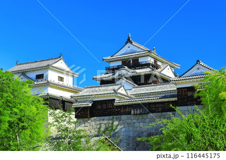 【愛媛県】快晴の松山城（大天守と小天守） 116445175