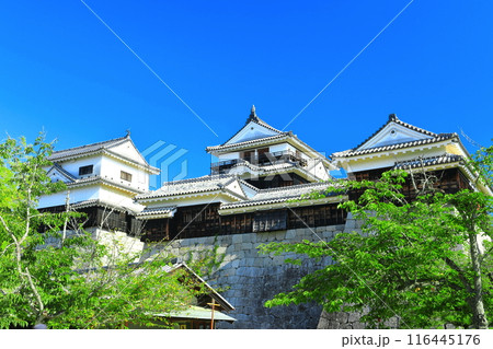 【愛媛県】快晴の松山城（大天守と小天守） 116445176