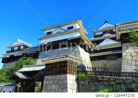 【愛媛県】快晴の松山城（本壇） 116445178