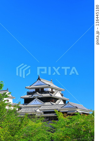 【愛媛県】快晴の松山城 【愛媛県】快晴の松山城 116445180