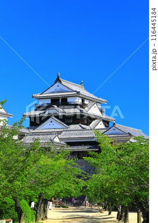 【愛媛県】快晴の松山城 116445184