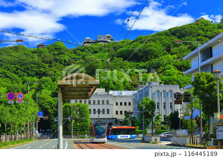 【愛媛県】晴天の松山城と愛媛県庁と伊予鉄電車 【愛媛県】晴天の松山城と愛媛県庁と伊予鉄電車 116445189