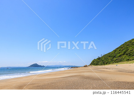 伊良湖岬の恋路ヶ浜　愛知県田原市 116445541